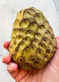 cherimoya 2.jpeg