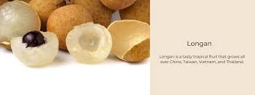 longan 2.jpeg