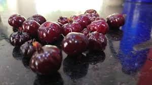 Pitanga, small sweet black.jpeg