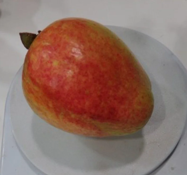 sylvia guava 4.jpg