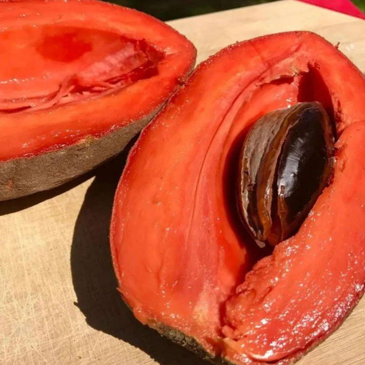 mamey sapote.jpg
