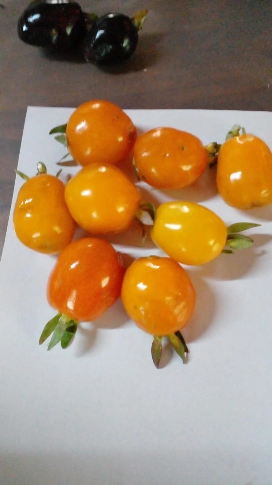 Orange Cherry of the Rio Grand — CRISP