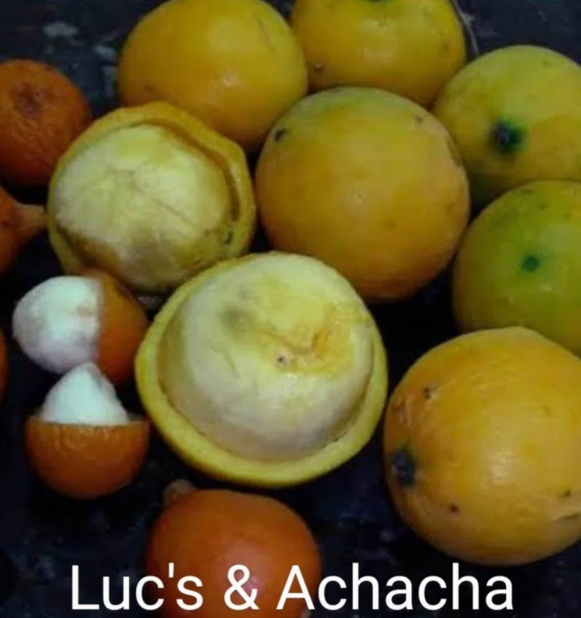 Luc's Garcinia 5.jpg