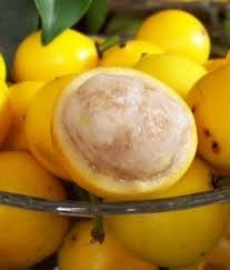 lemondrop mangosteen 2.jpeg