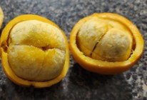 Luc's Garcina 2.jpg