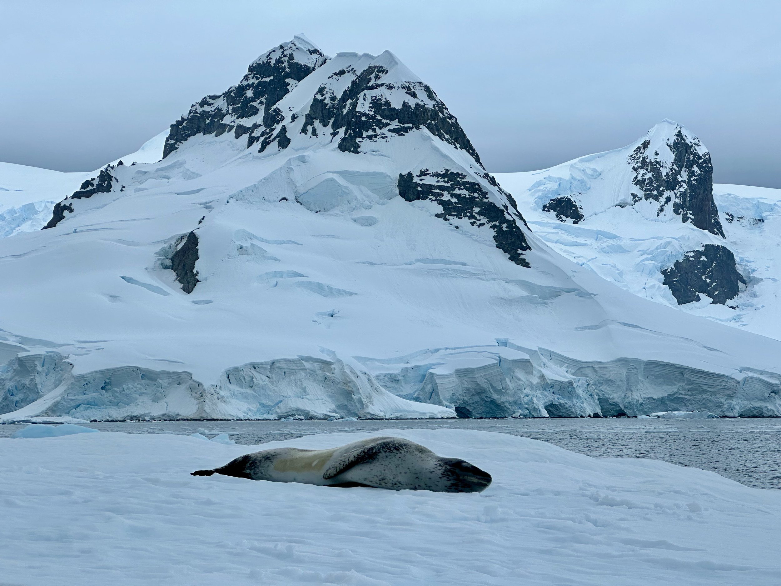 Postcards from Antarctica