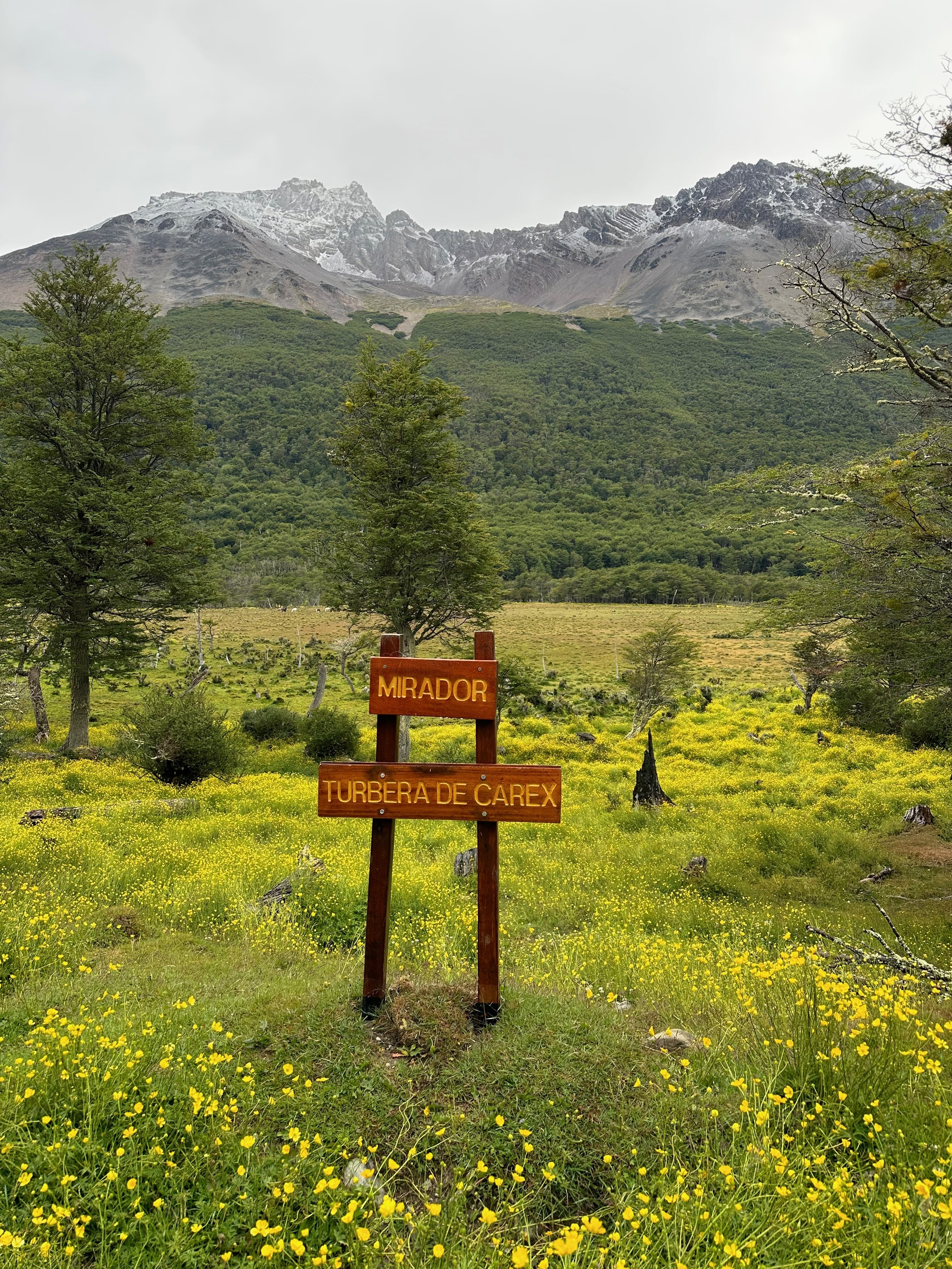 Postcards from Ushuaia, Argentina