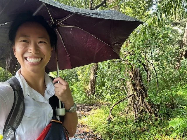  Rainy in the rainforest 