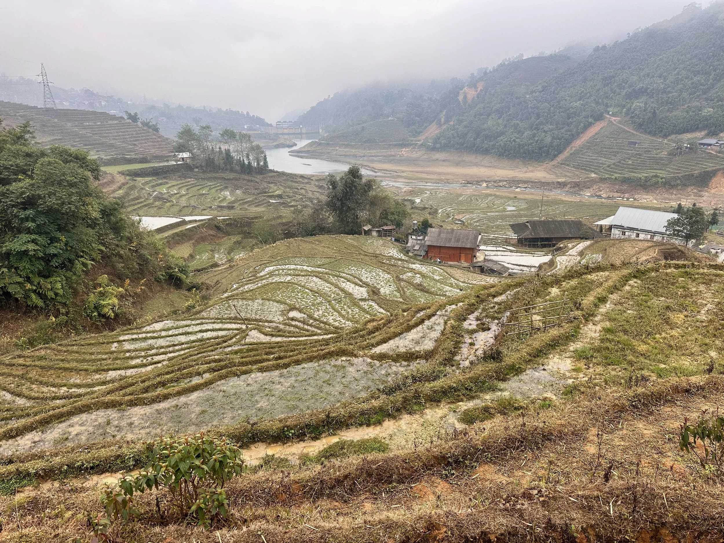 Clouds hovering over rice fields