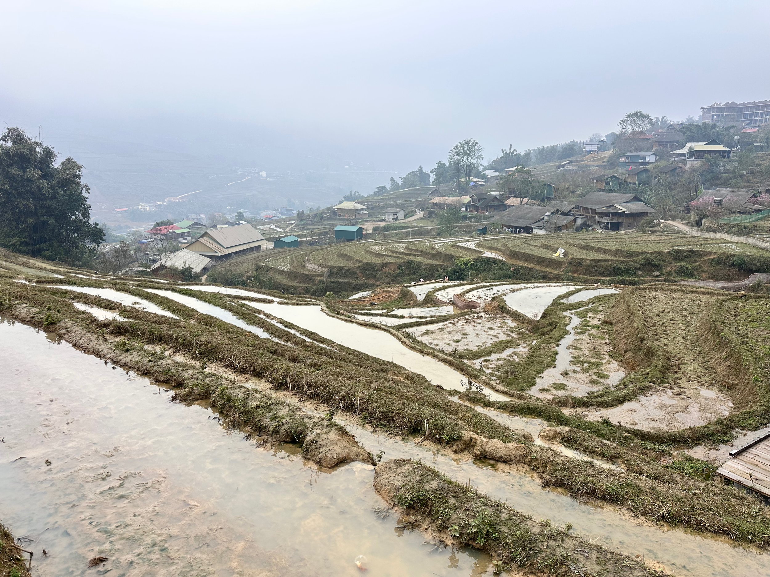 Looking over the rice fields and village below