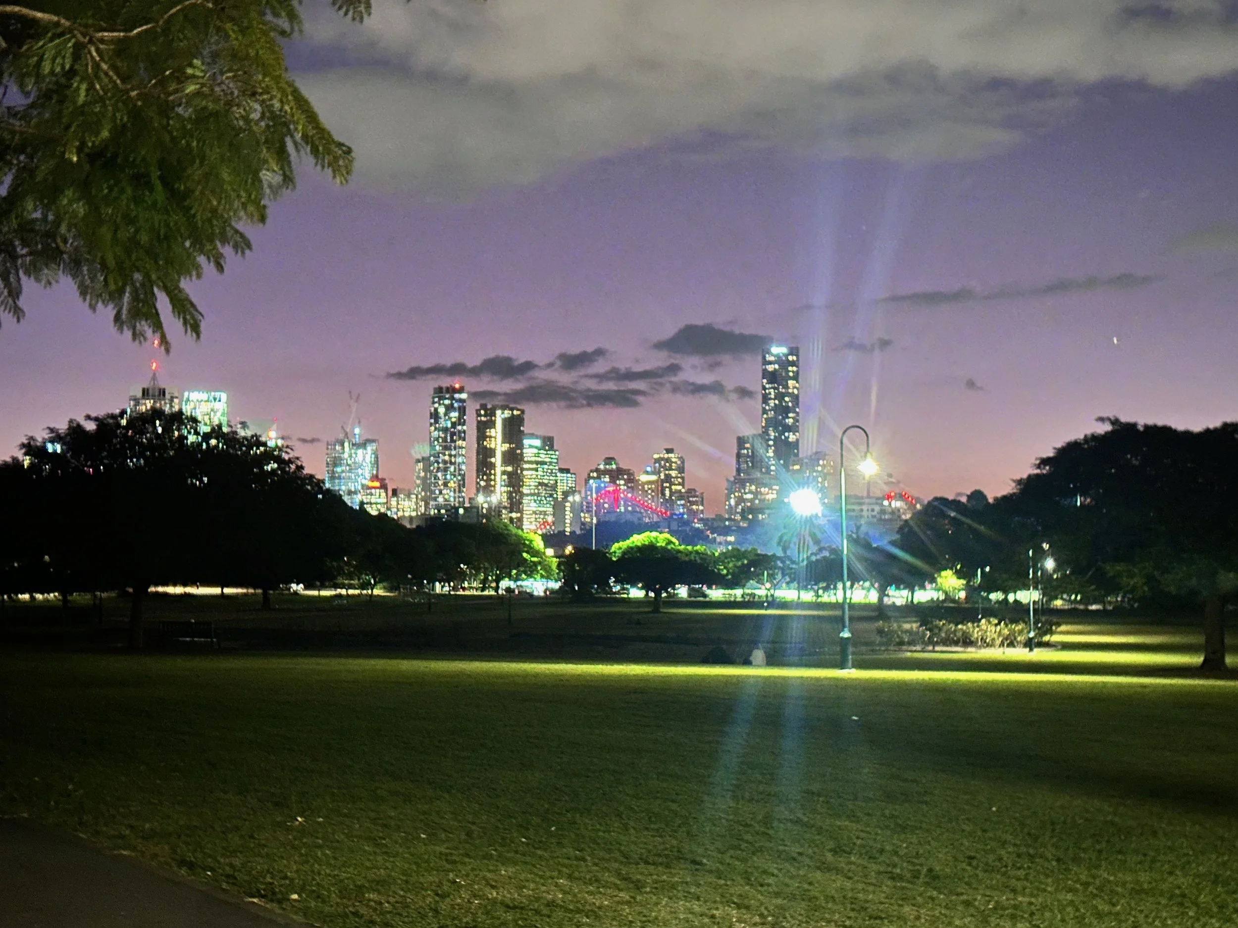  New Farm Park at night 
