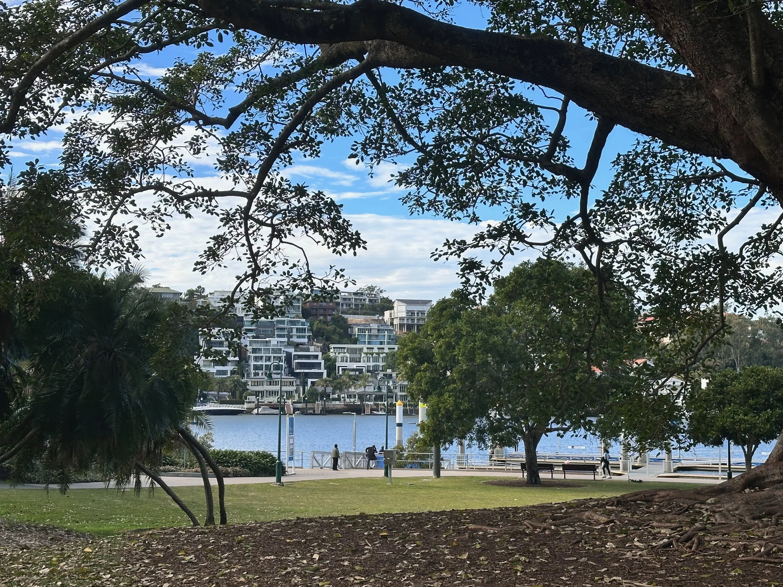  Another view of the water, a different point at the river’s edge 