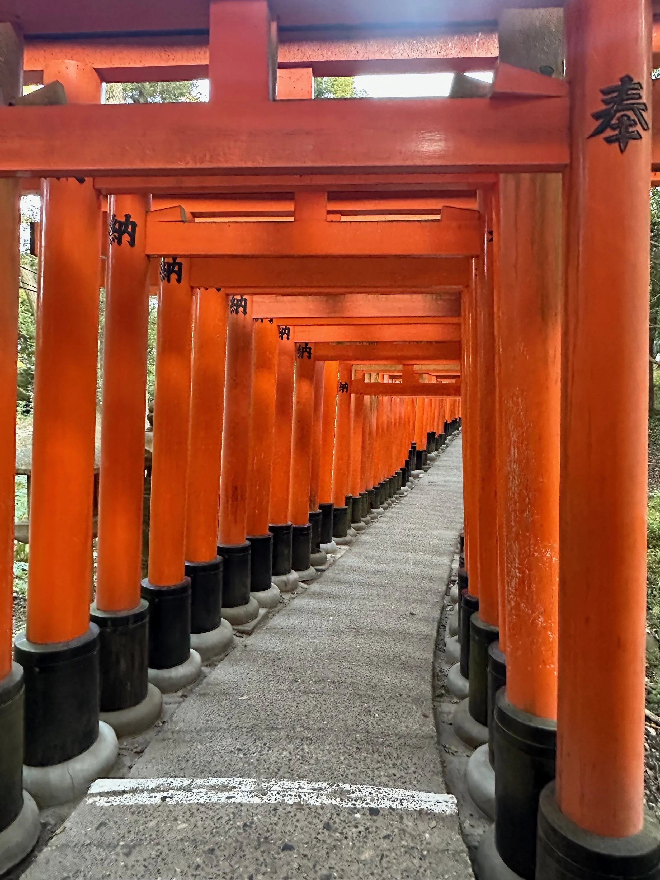 Fushimi Inari Shrine Kyoto Japan3.jpeg