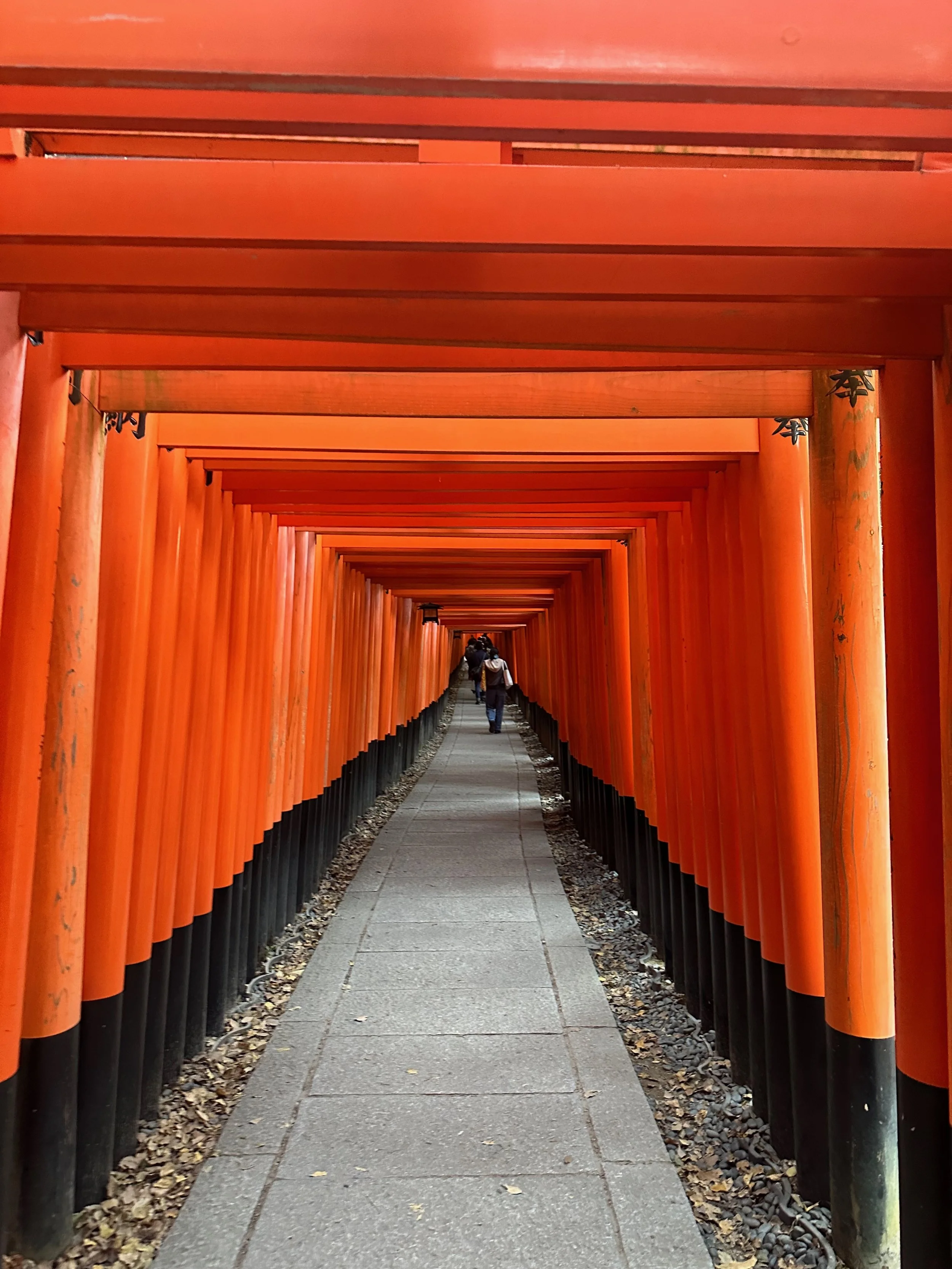Fushimi Inari Shrine Kyoto Japan2.jpeg