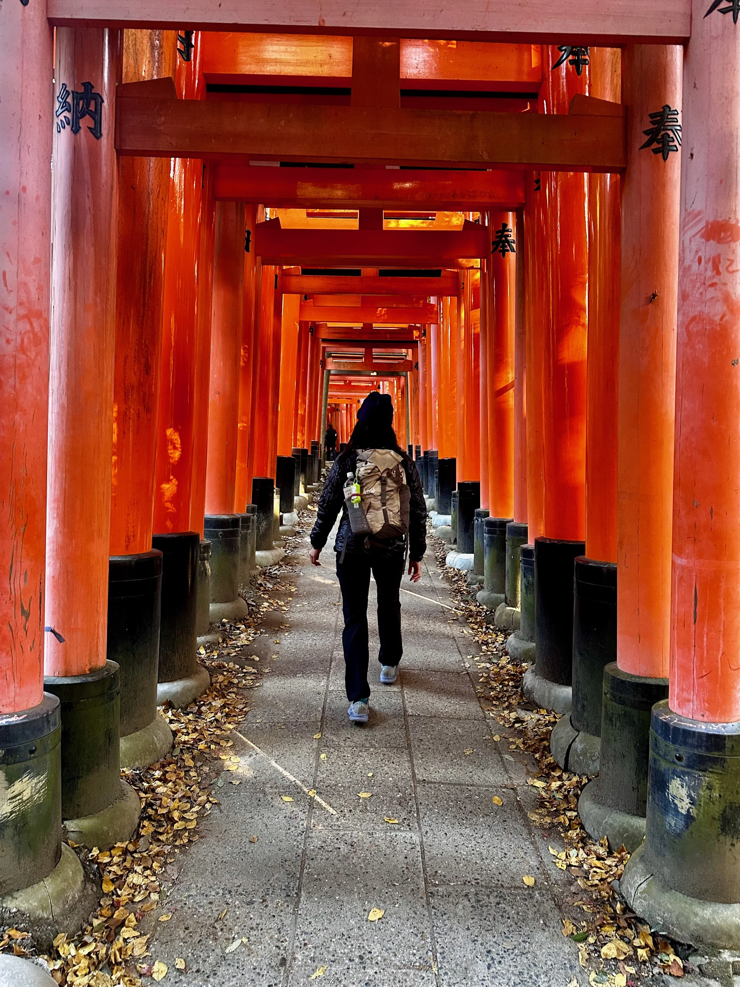 Postcards from Fushimi Inari Shrine