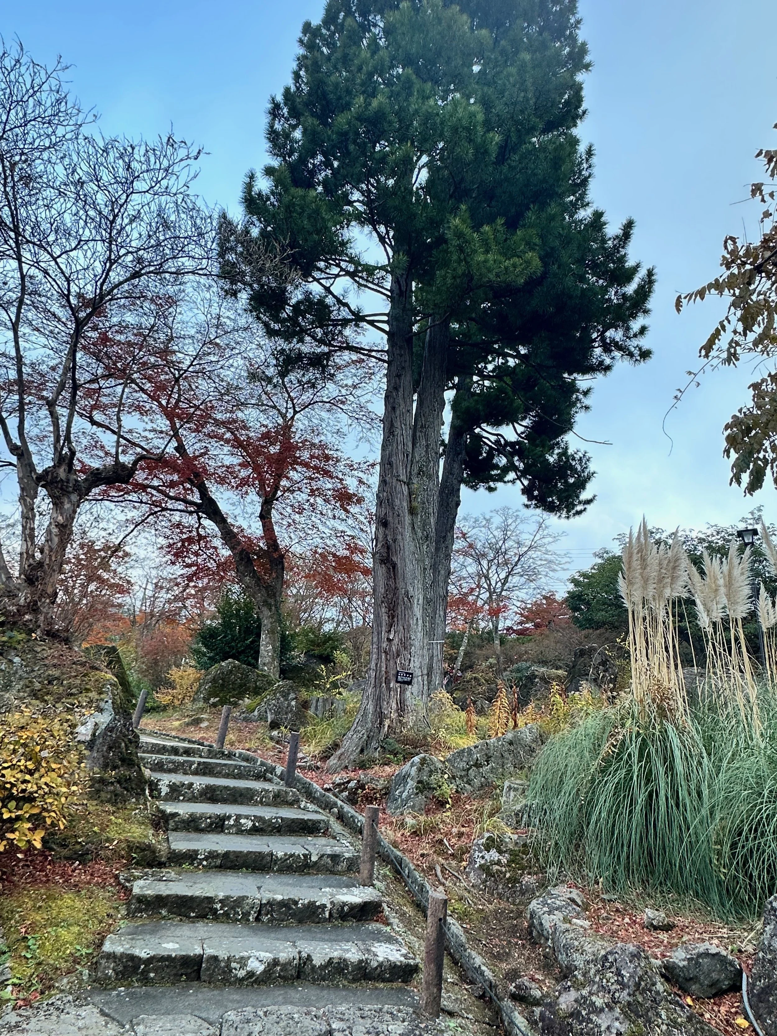 Hakone Park Japan1.jpeg