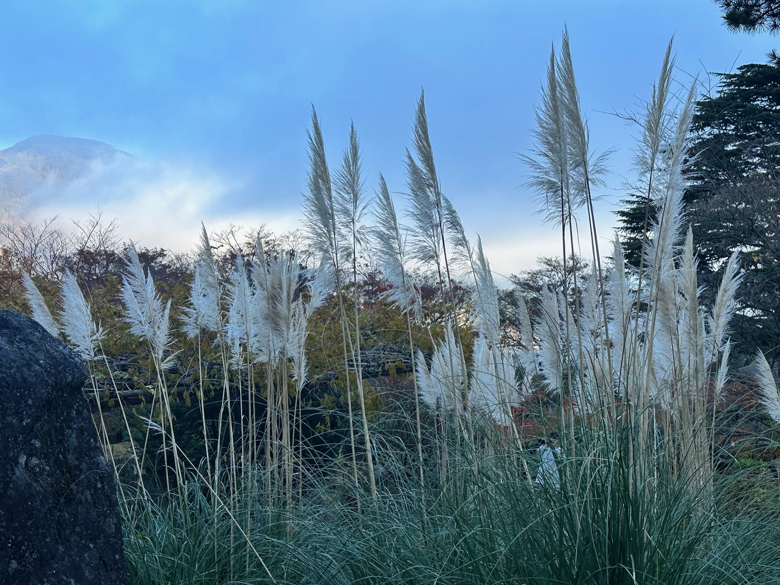 Hakone Park Japan3.jpeg
