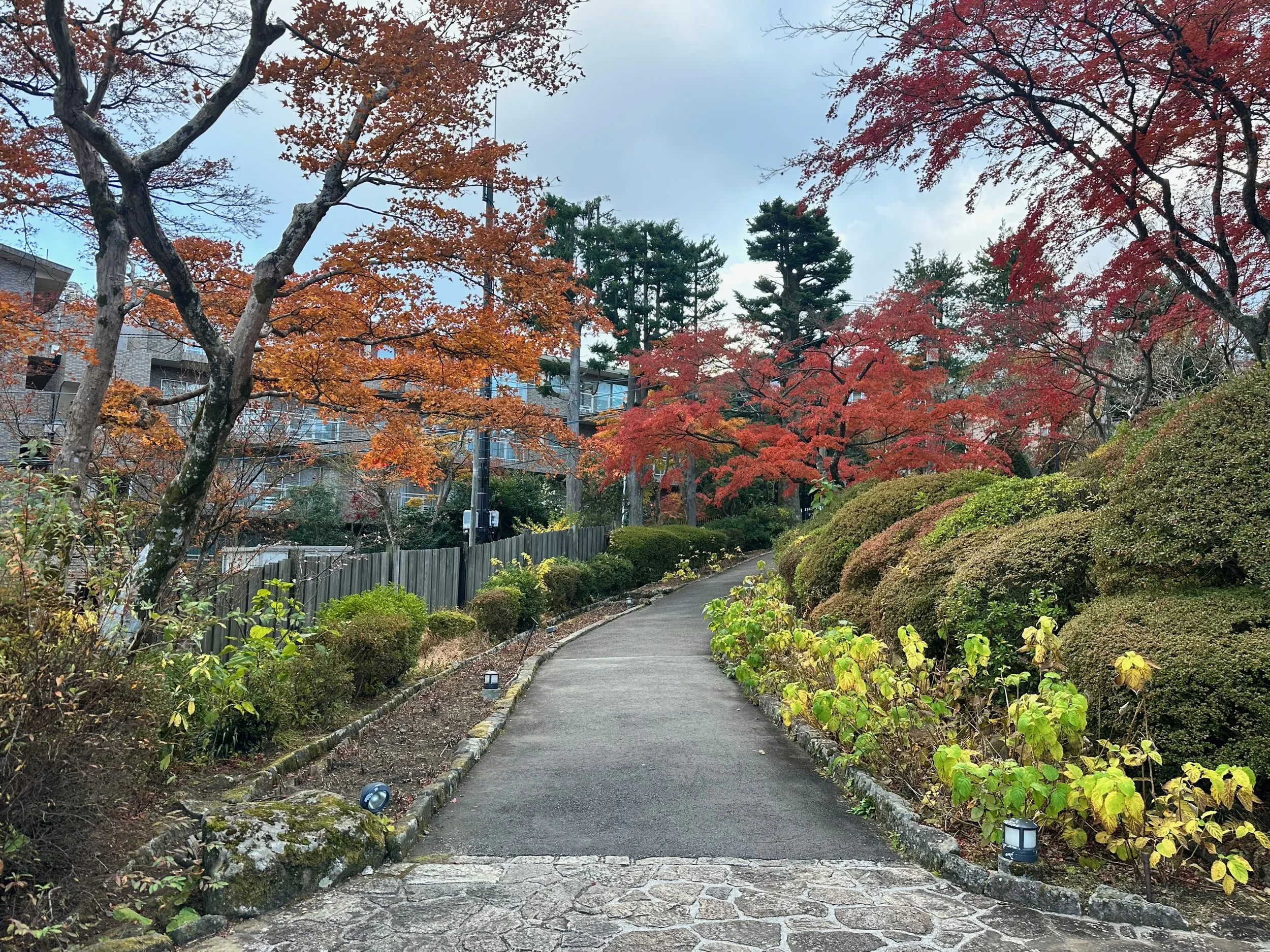 Postcards from Hakone Gora Park