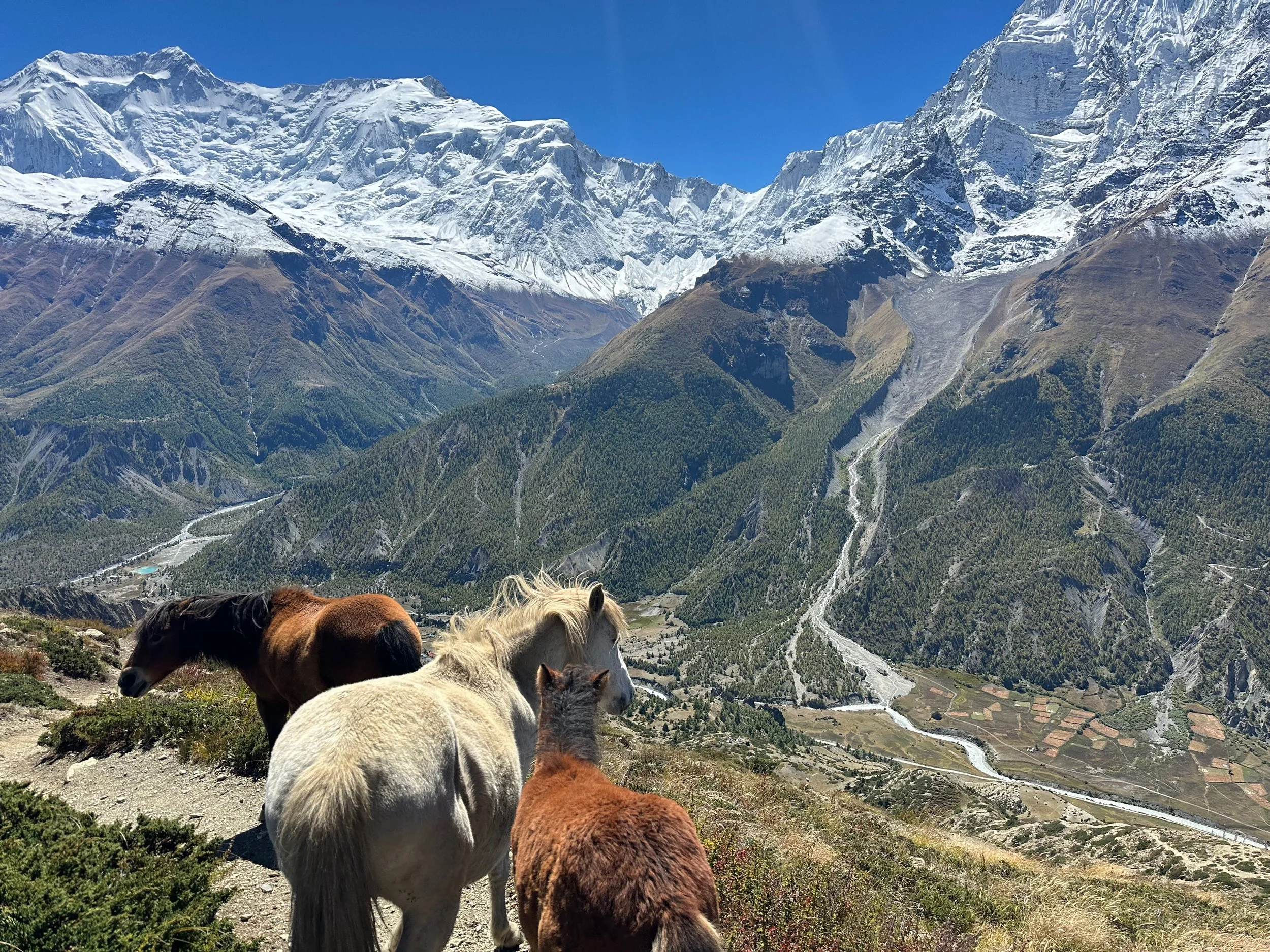 Gandaki, Nepal