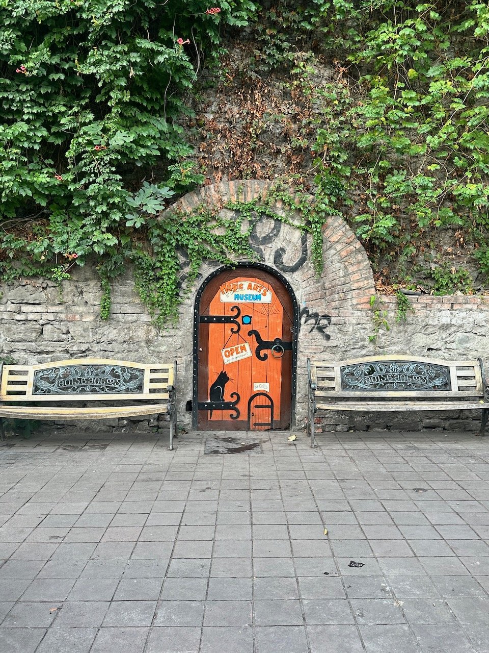 IMG_4081 (1).jpeg