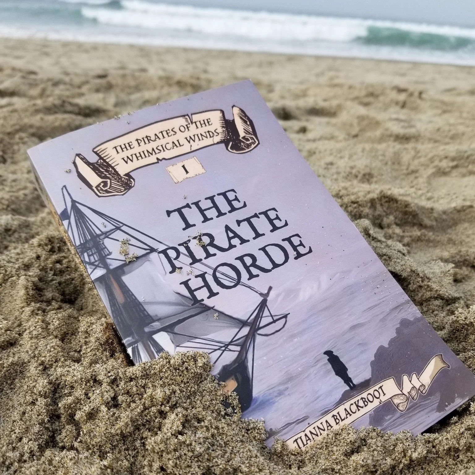 Once upon a time... well, a year ago anyway, I published a book! If you've been waiting to get your greedy little hands on it, now's the time! 

Ebooks are FREE on Kindle today! Get your copy of The Pirate Horde on Kindle. While you're at it, why not