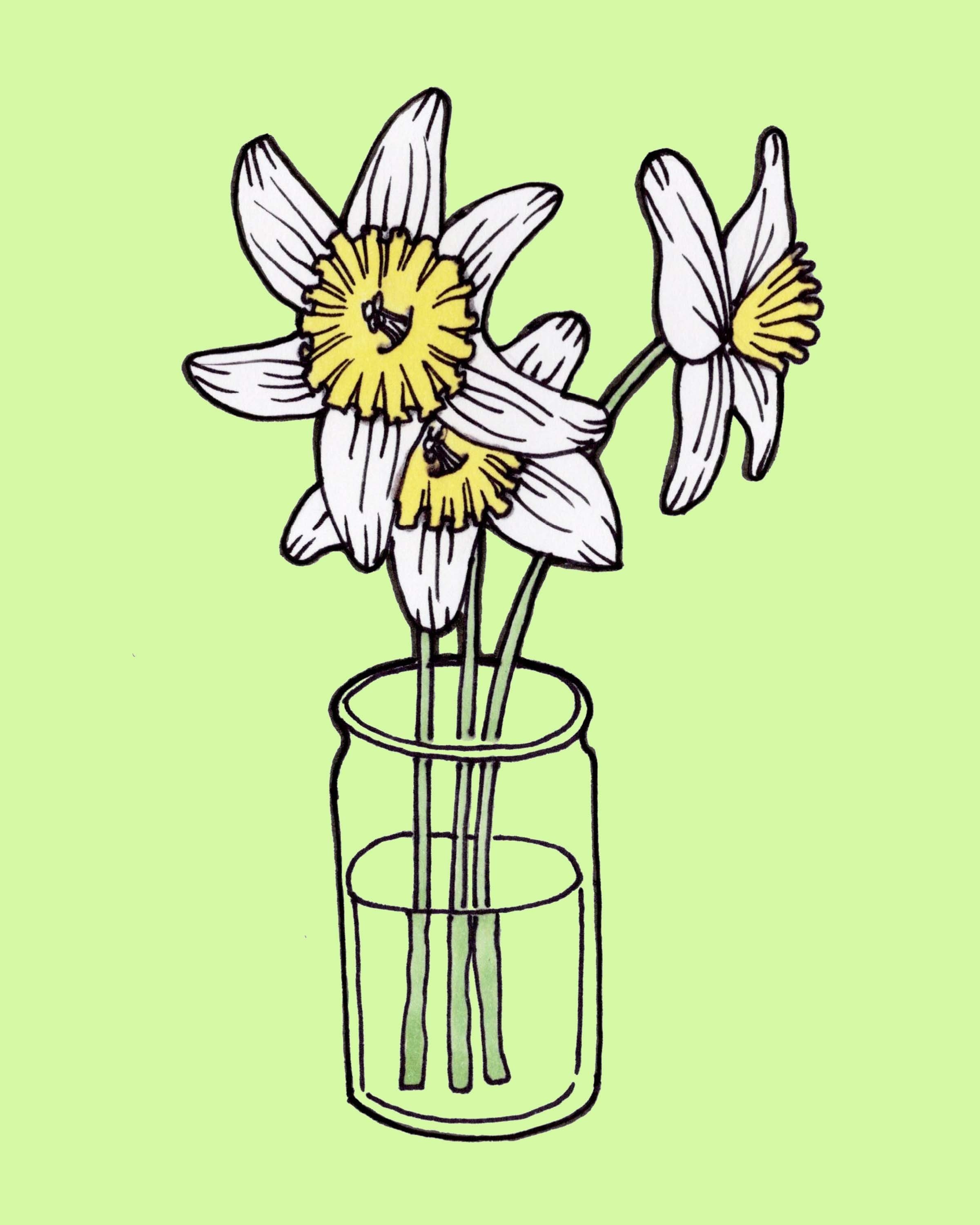https://i.etsystatic.com/5192581/r/il/37be35/4060185079/il_fullxfull.4060185079_o6i1.jpg