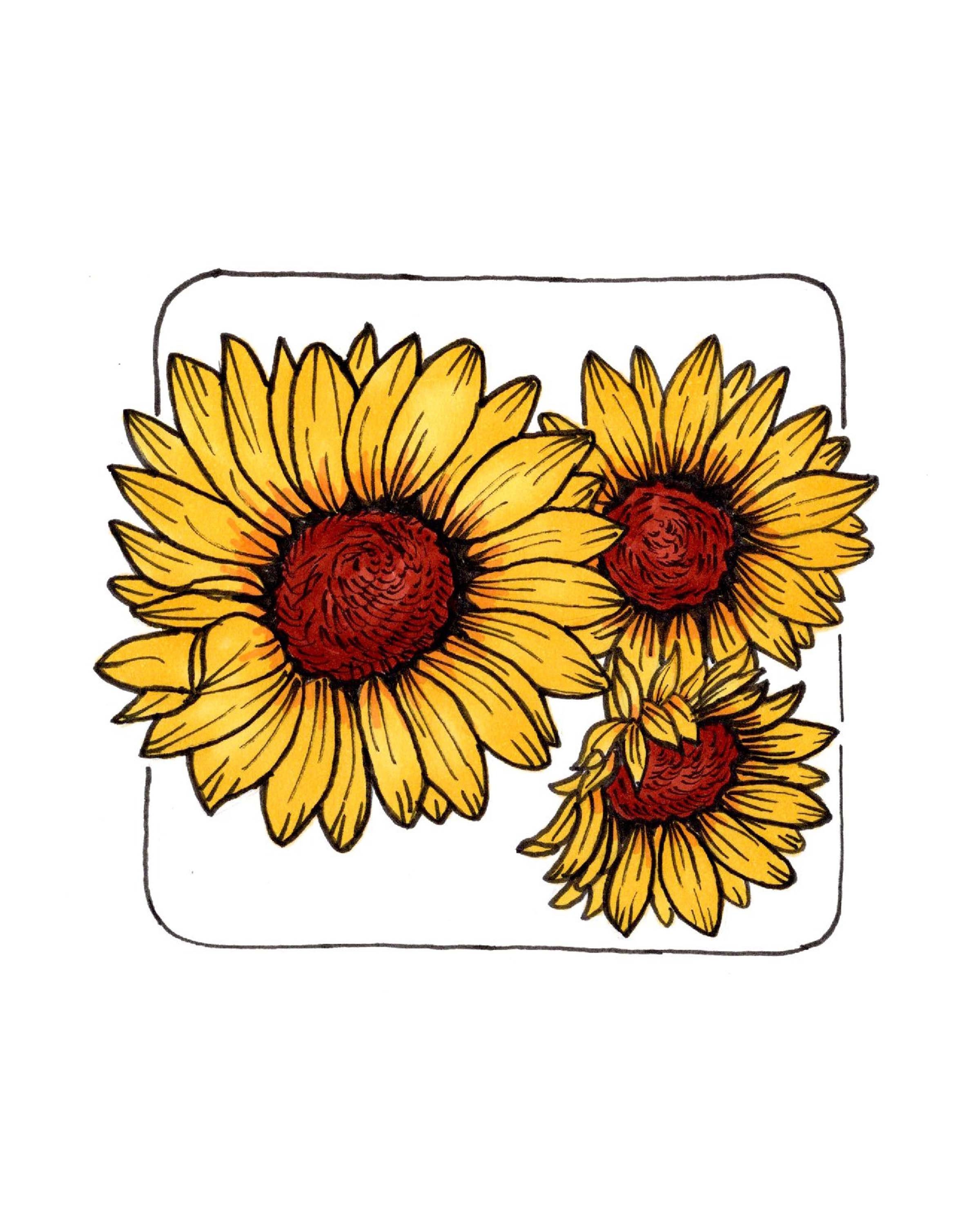Sunflowers Print
