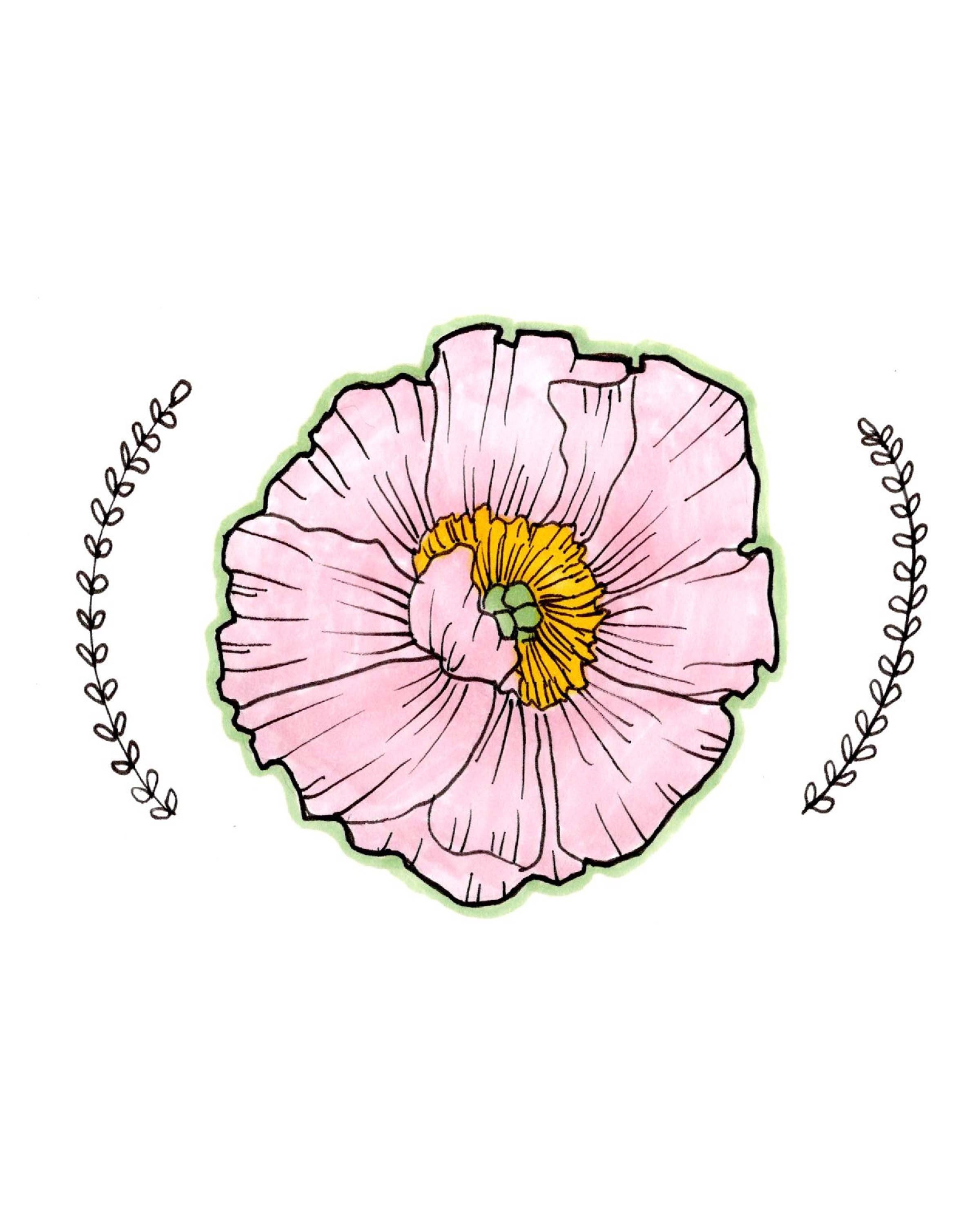 Soft Pink Peony