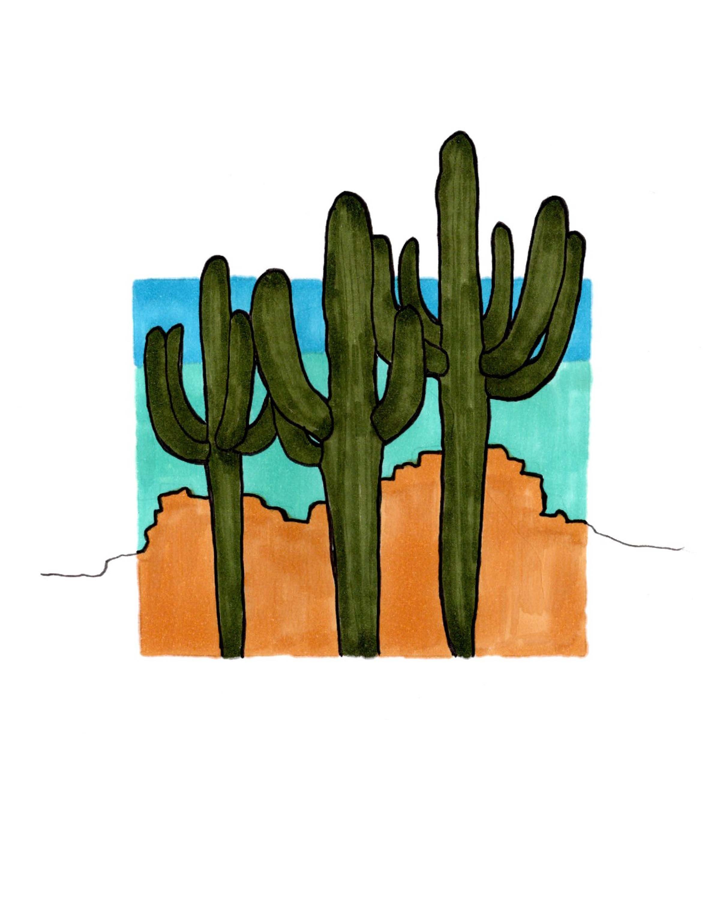 Saguaro Cacti in The Desert