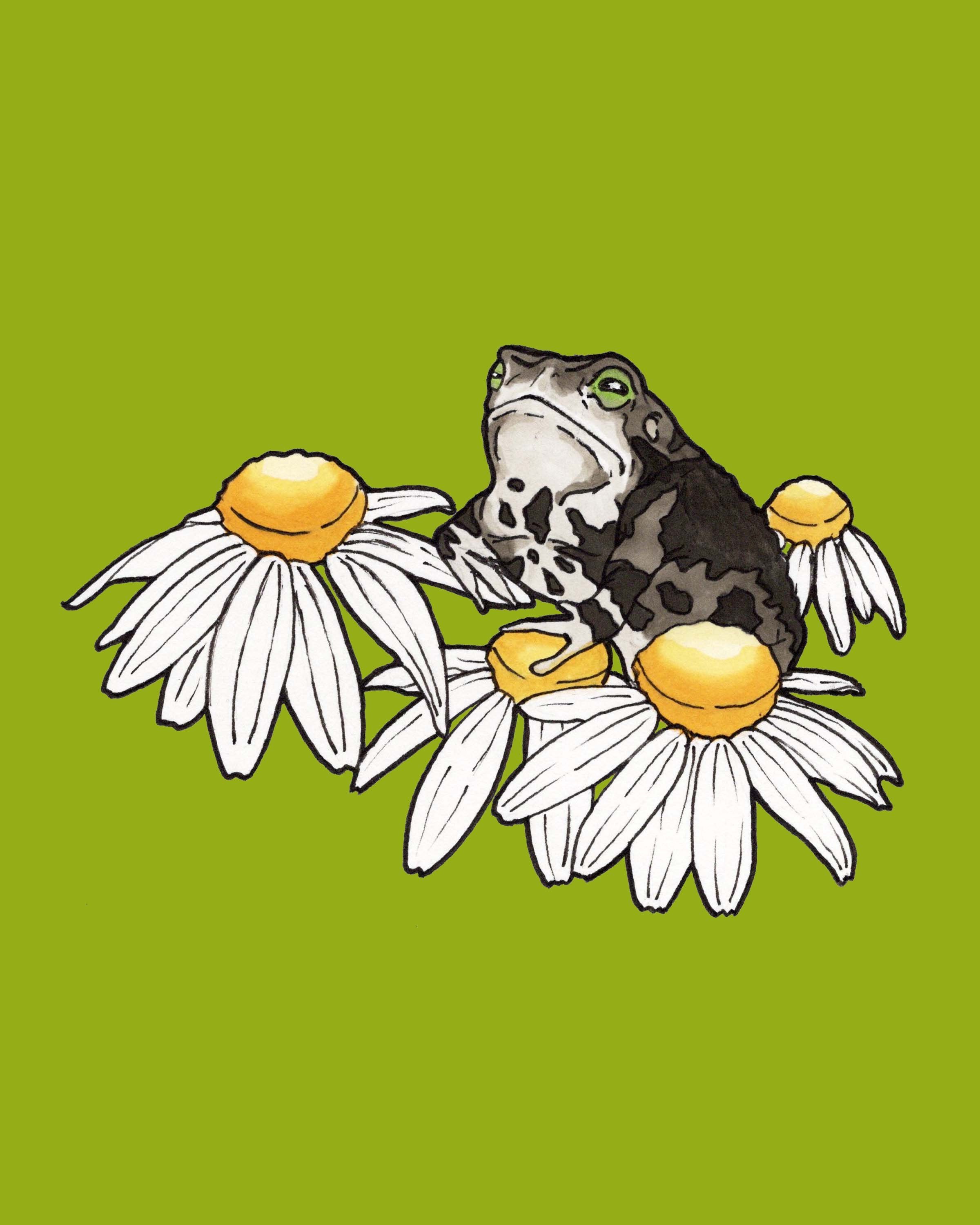 Daisy Toad Print
