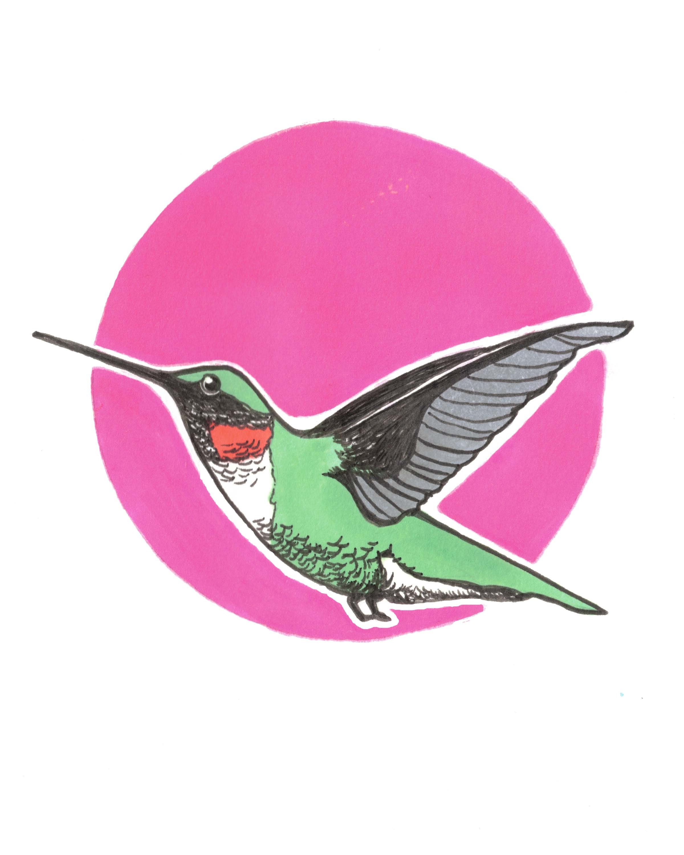 Hummingbird Print
