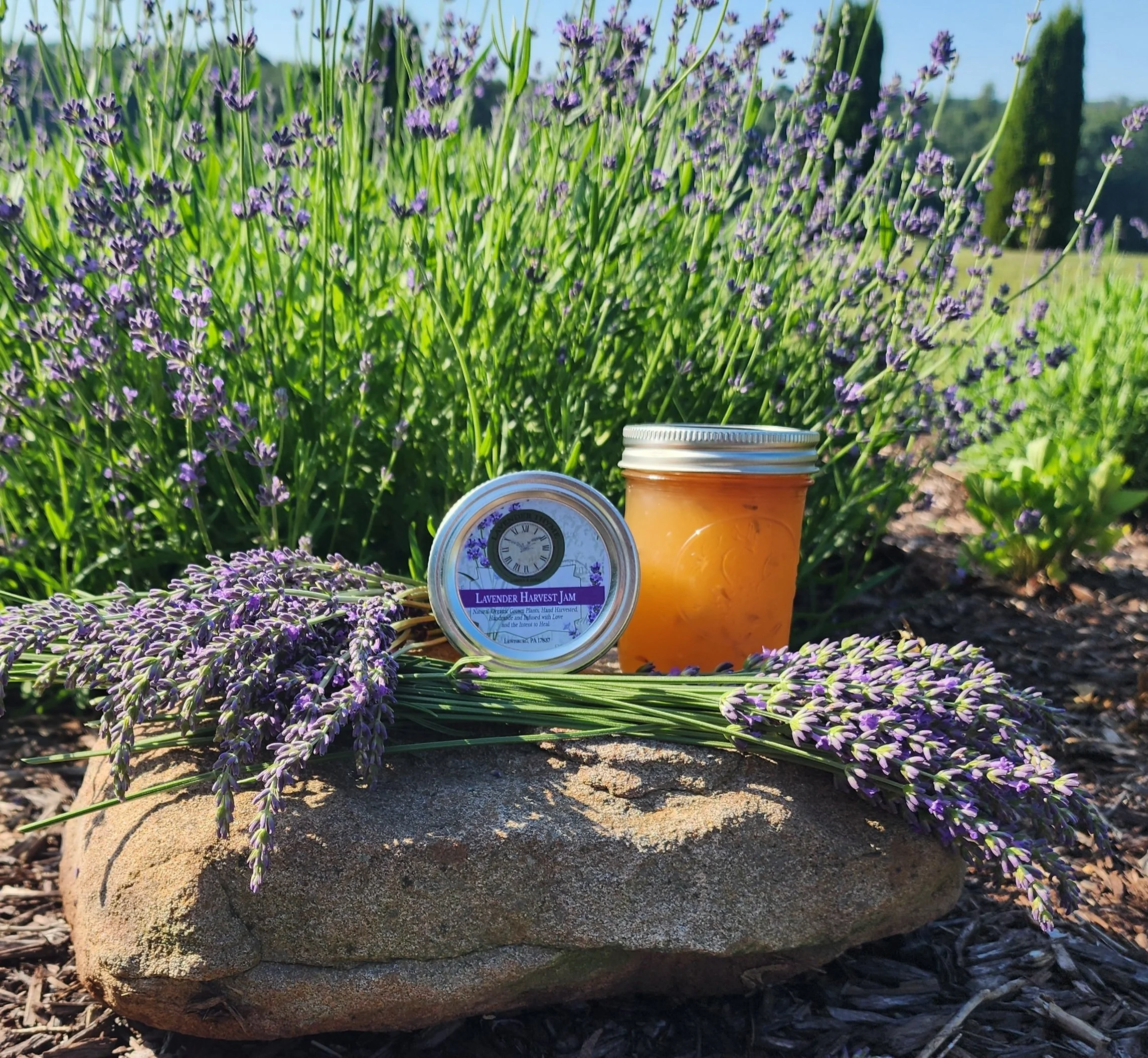 Lavender Harvest Jam