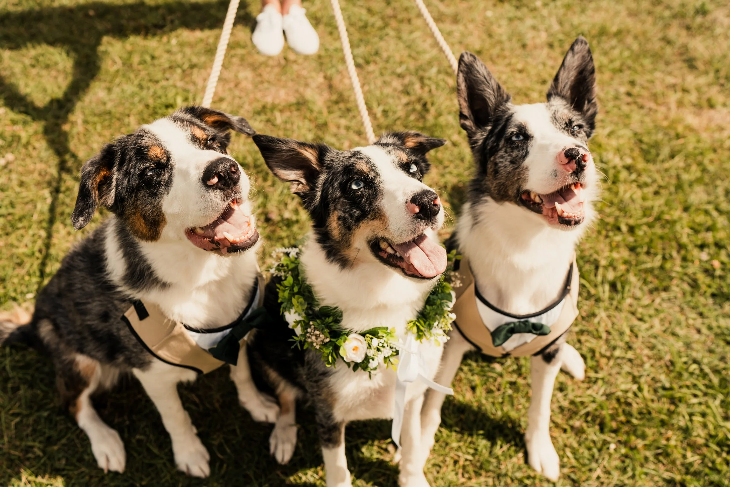 Kim and Jay wedding-153.jpg