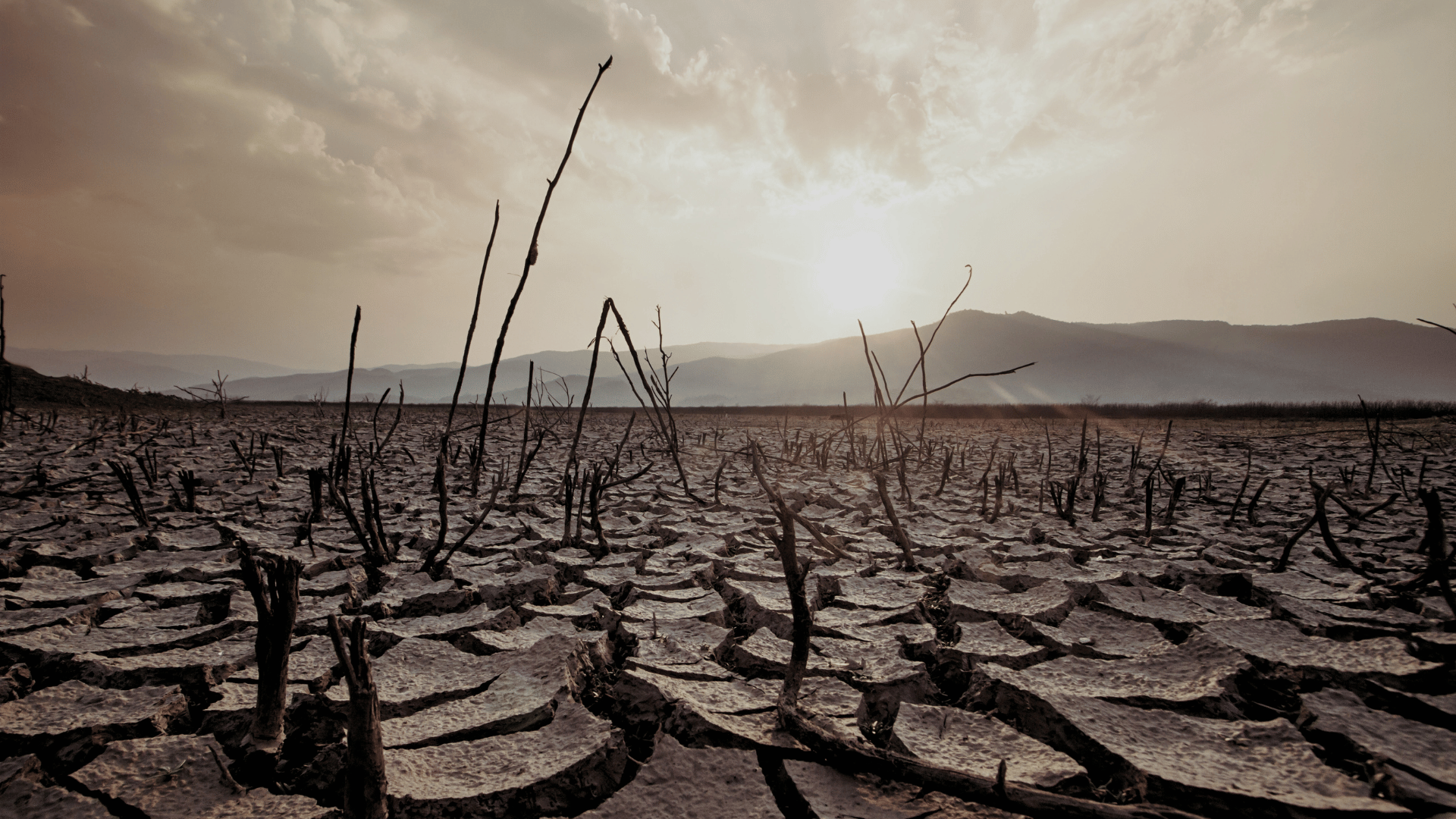 Funding for survivors is disappearing. And (sadly) so is Callisto.