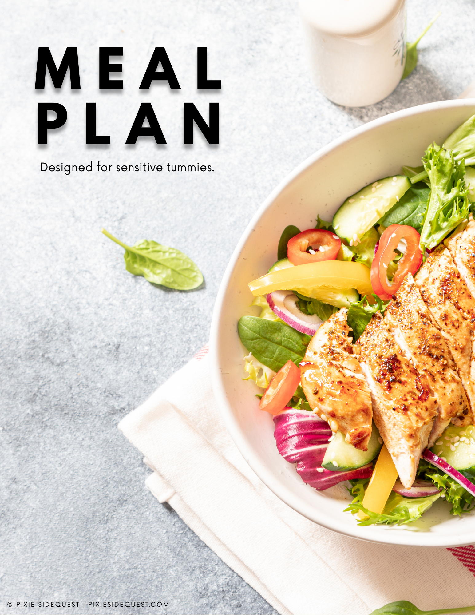 THE MEAL PLAN - Cover.png