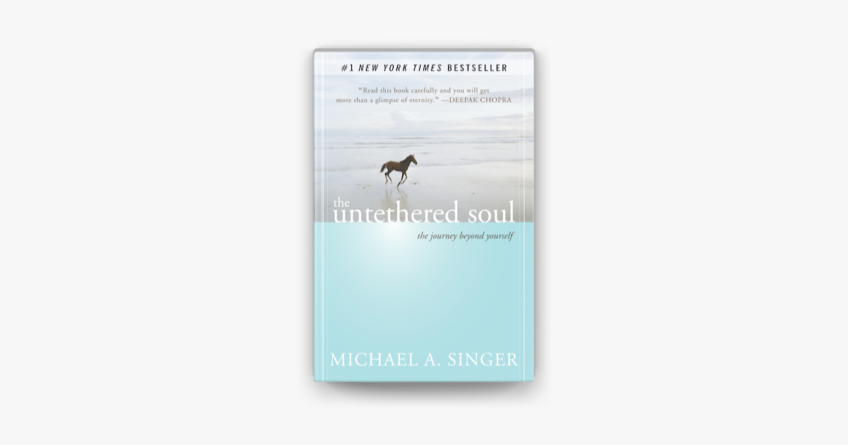 untethered-soul-singer.png