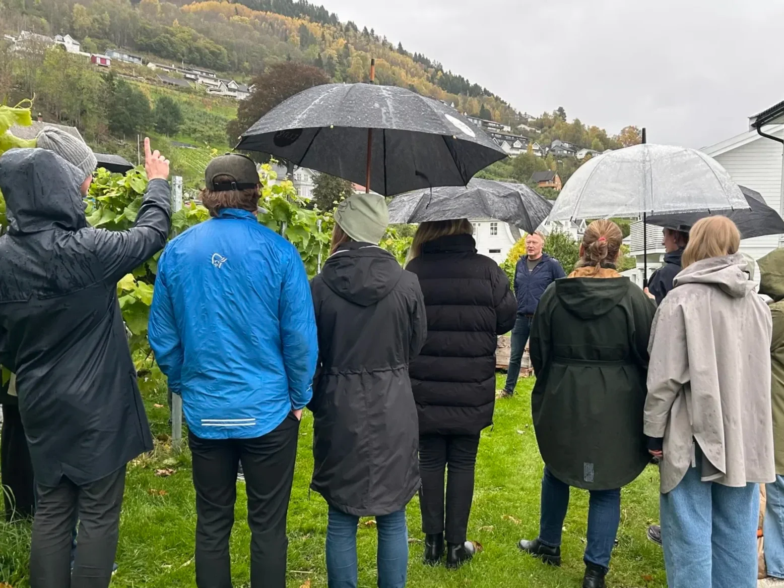 Vinsmaking og røvarhistoriar på Leikanger