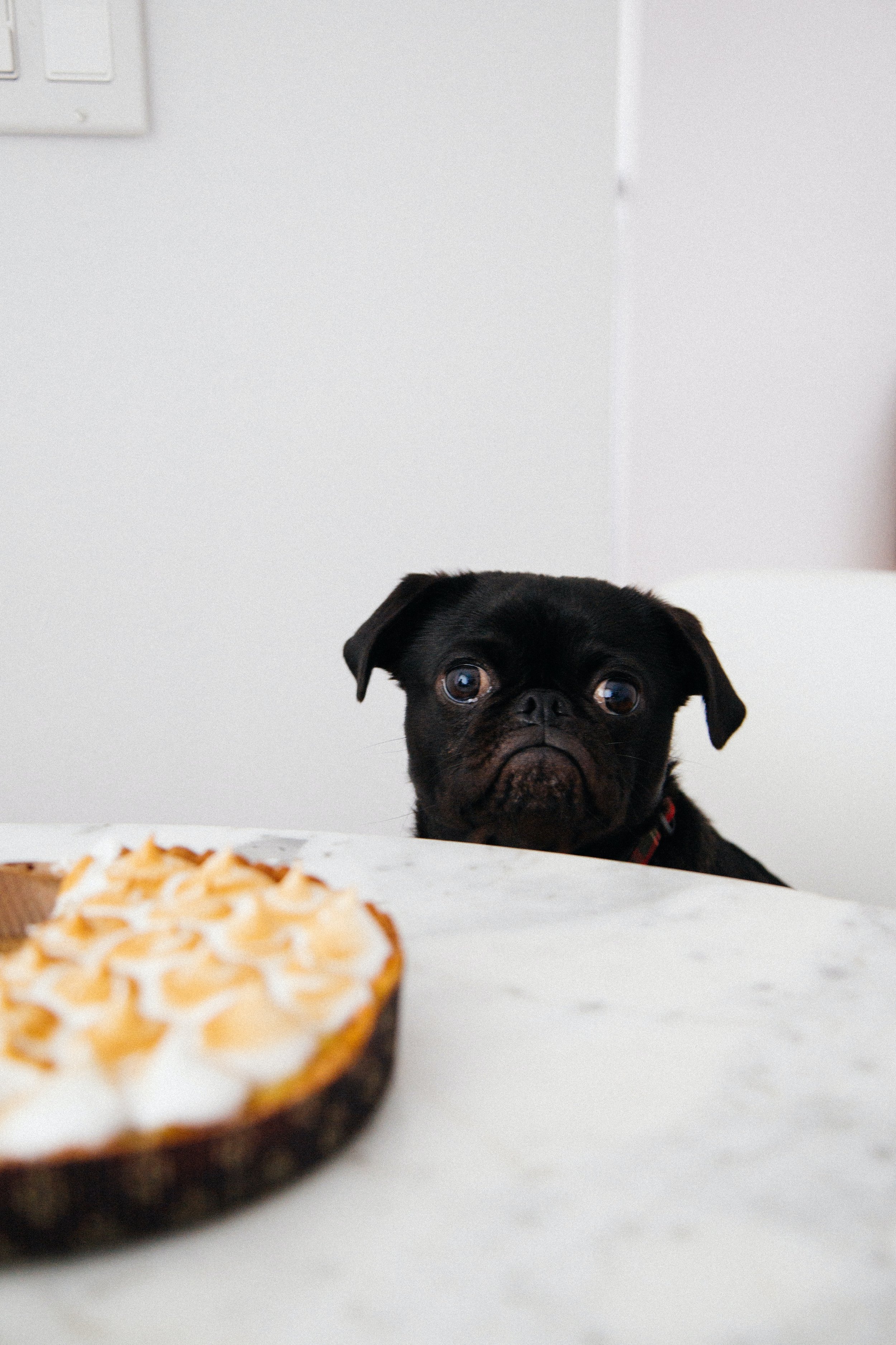 Listen to your body: how to develop hunger and fullness cues
