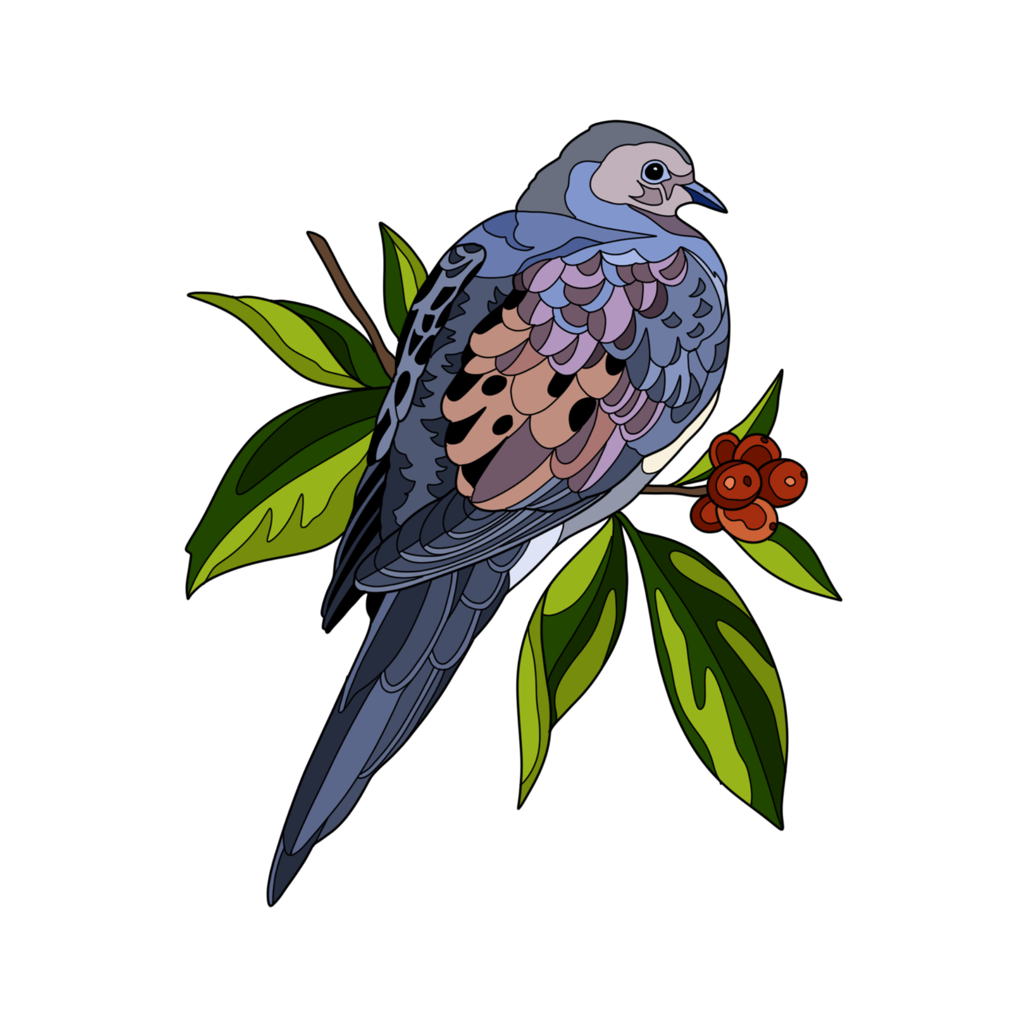 Mourning Dove.png