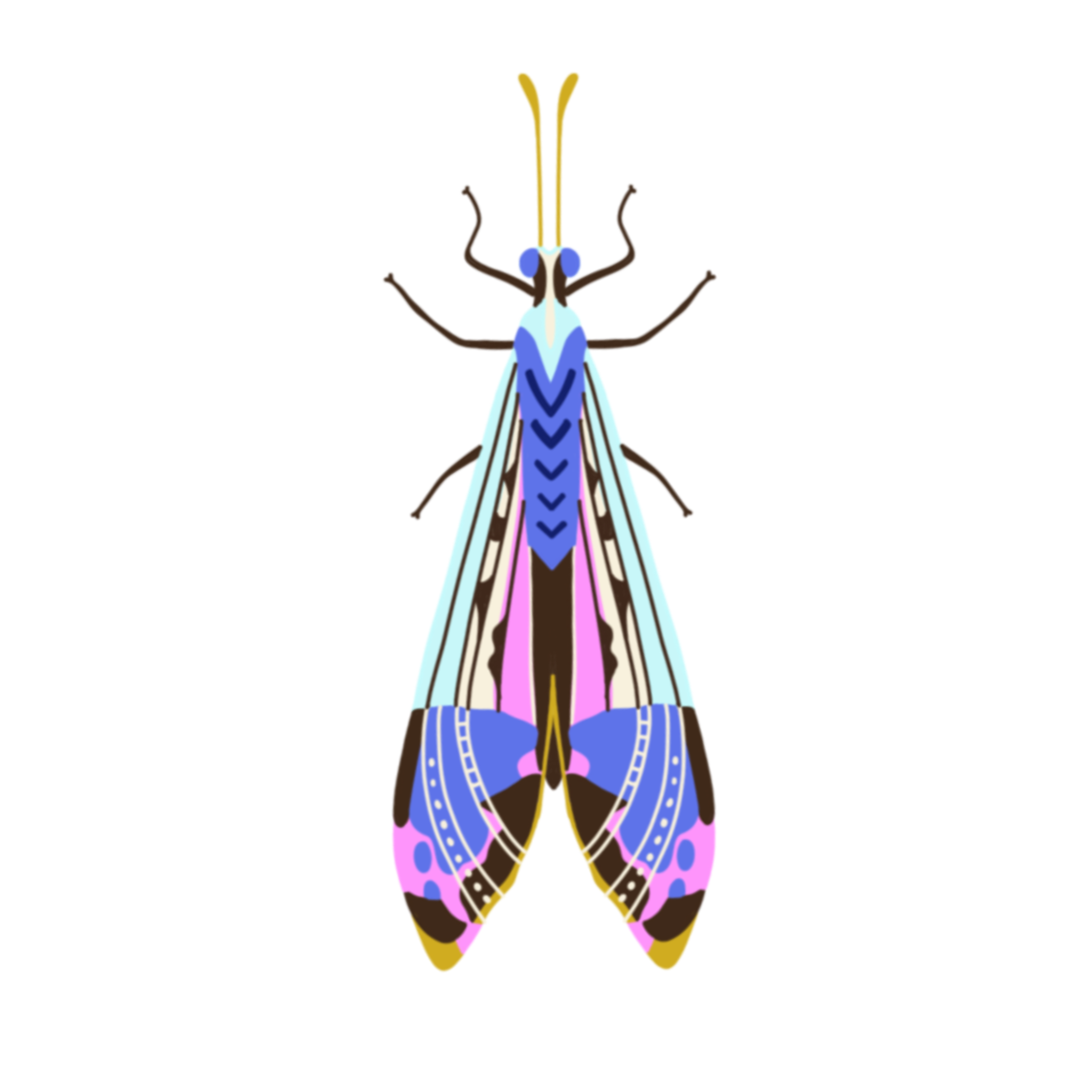 Bug 1.png