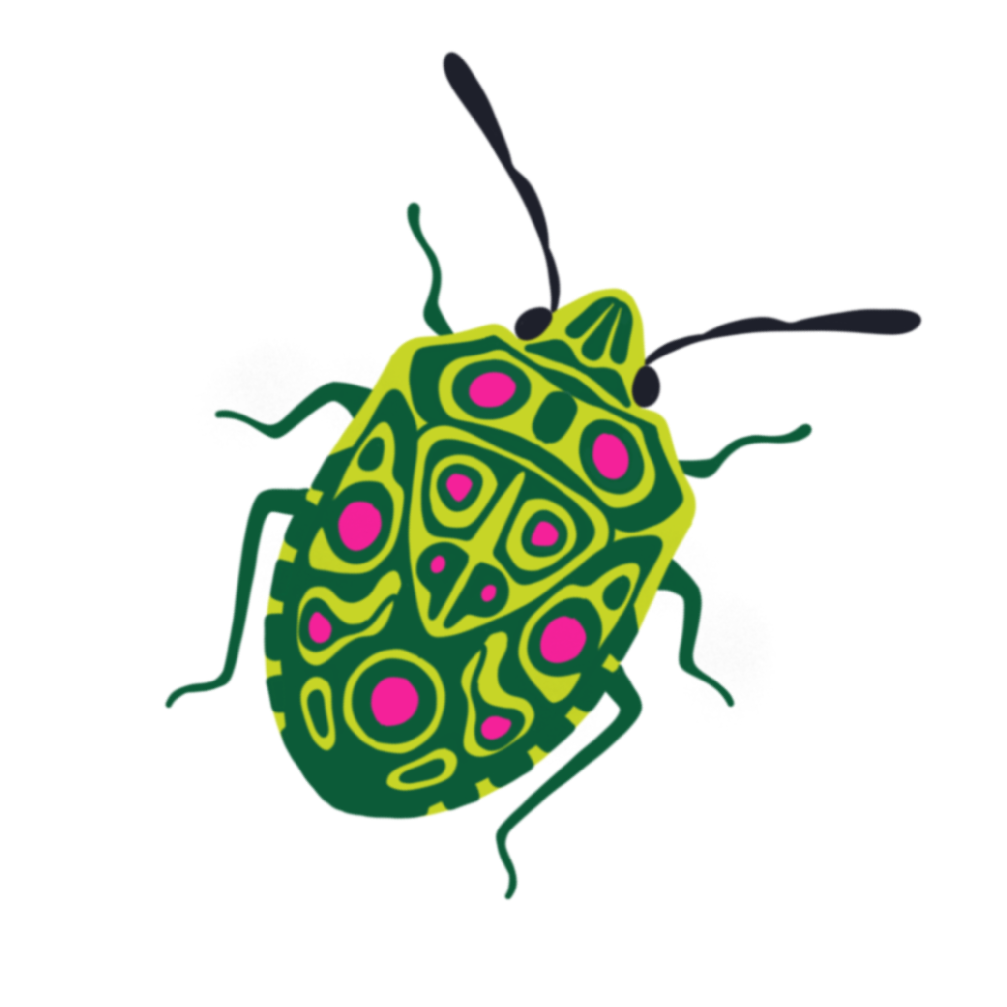 Bug 2.png