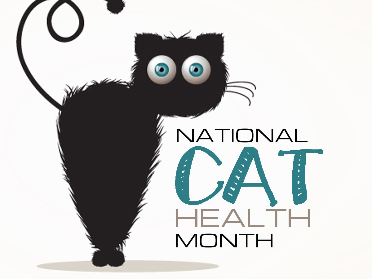 0-National Cat Health Month- x3.jpg
