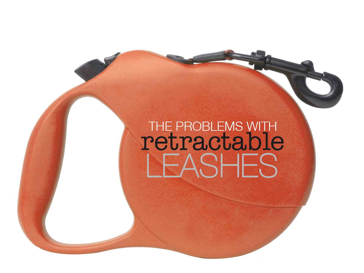 The Problems With Retractable Leashes.jpg