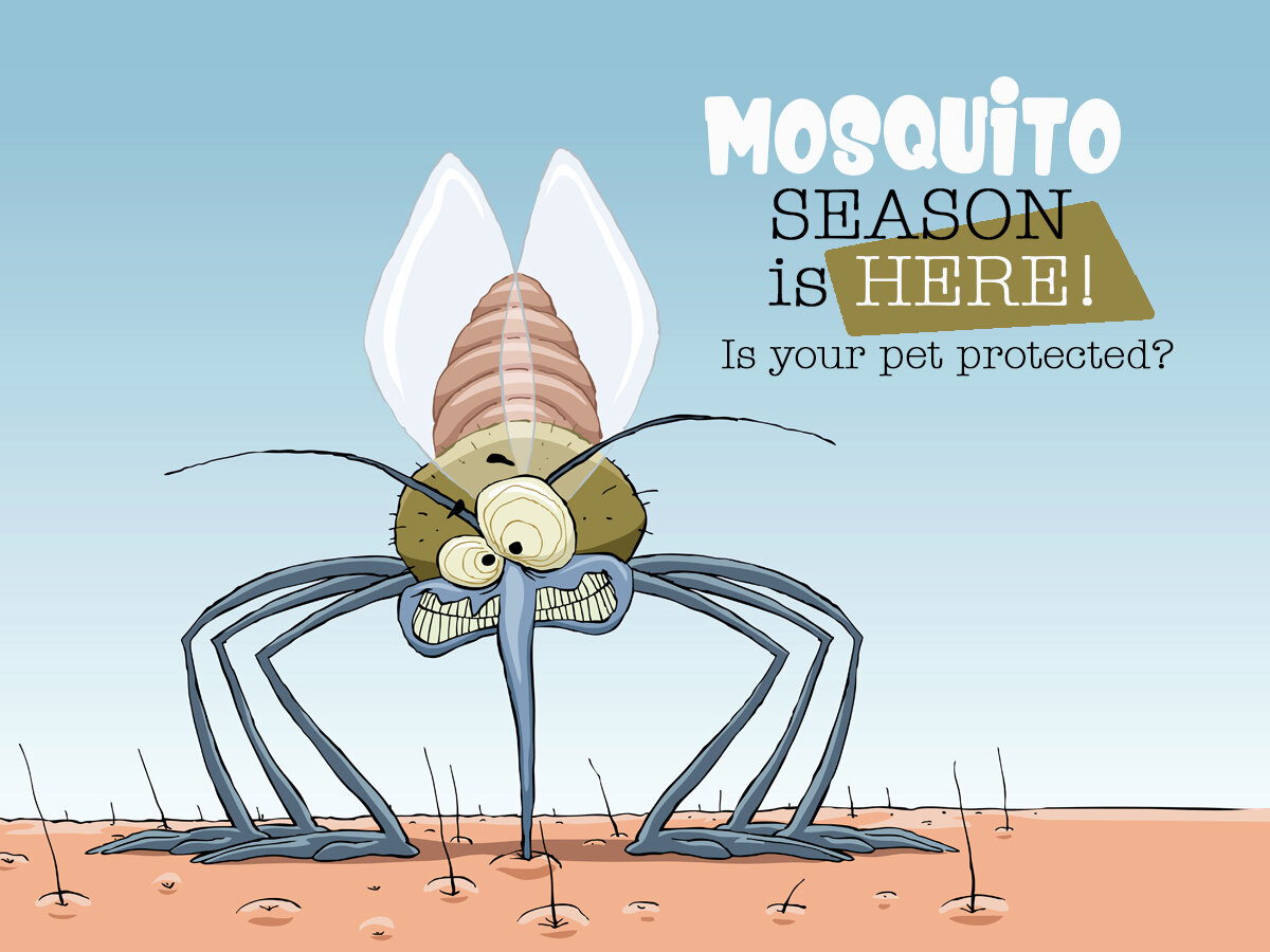 Mosquito Season-VS321.jpg