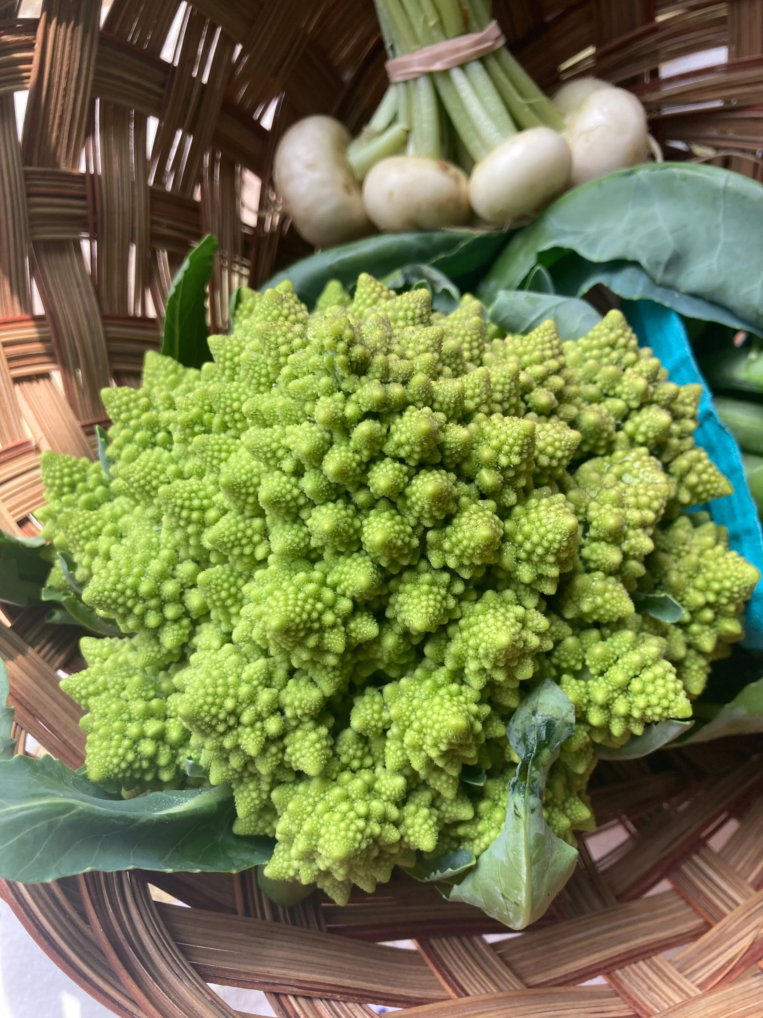 romanesco cauliflower.jpg