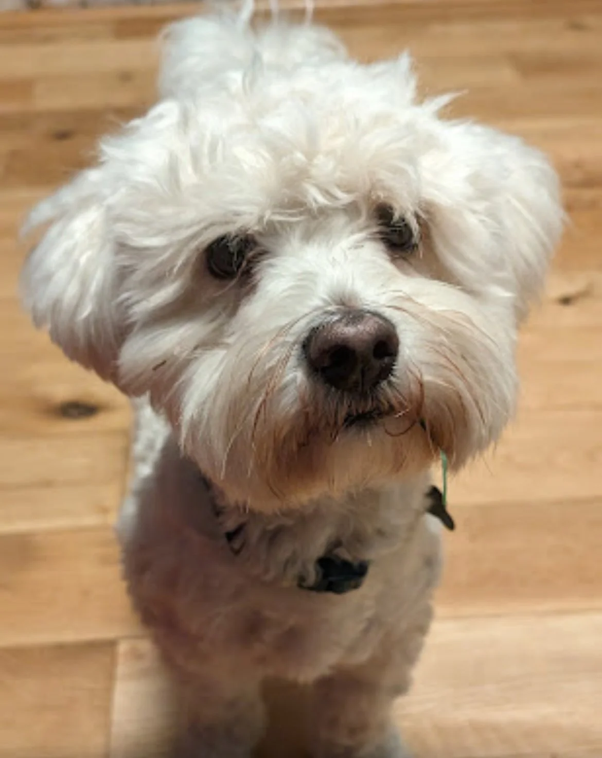 IMG_A4283D01FC47-1 2.jpeg