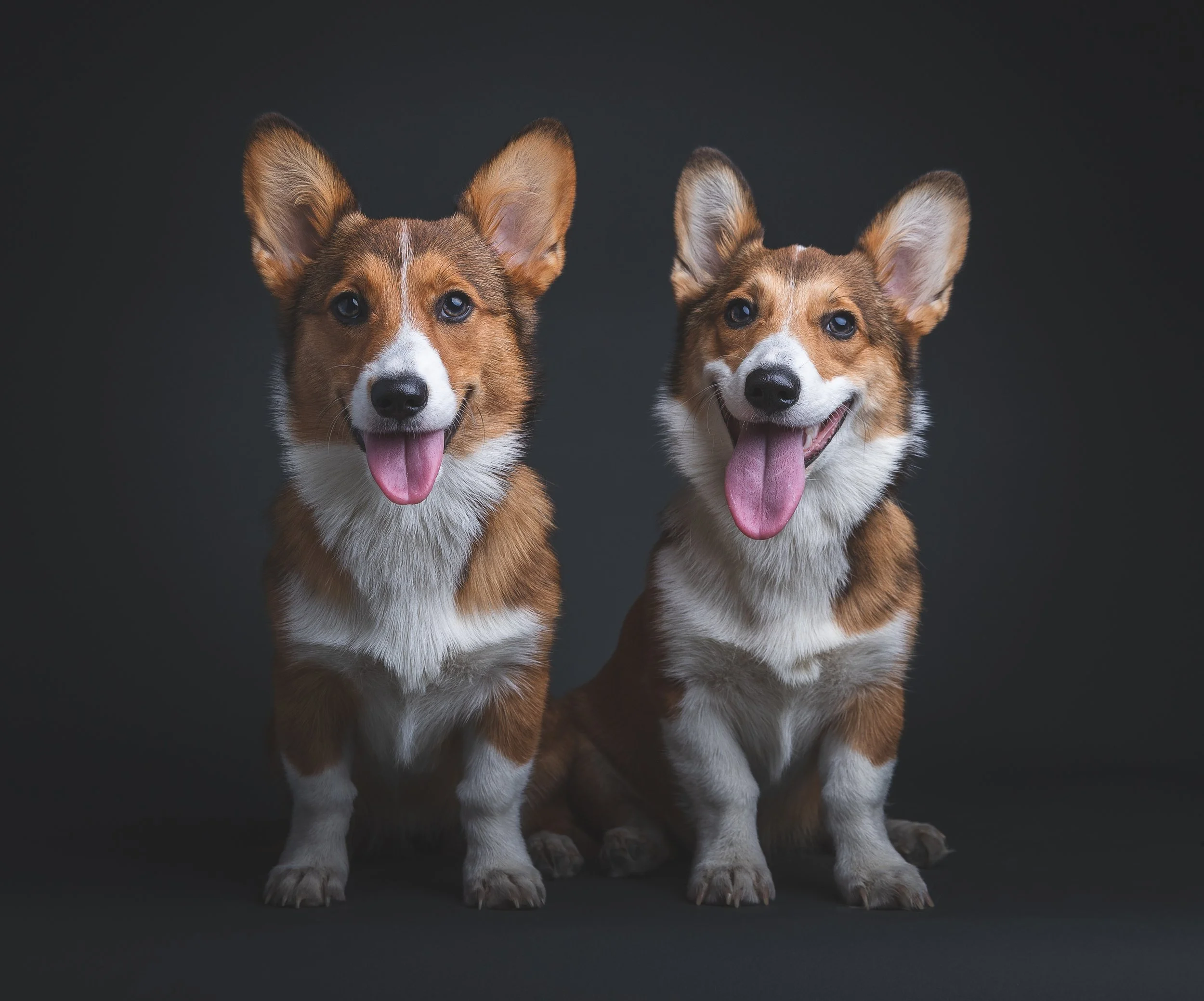 Indiana and Jolene.jpg