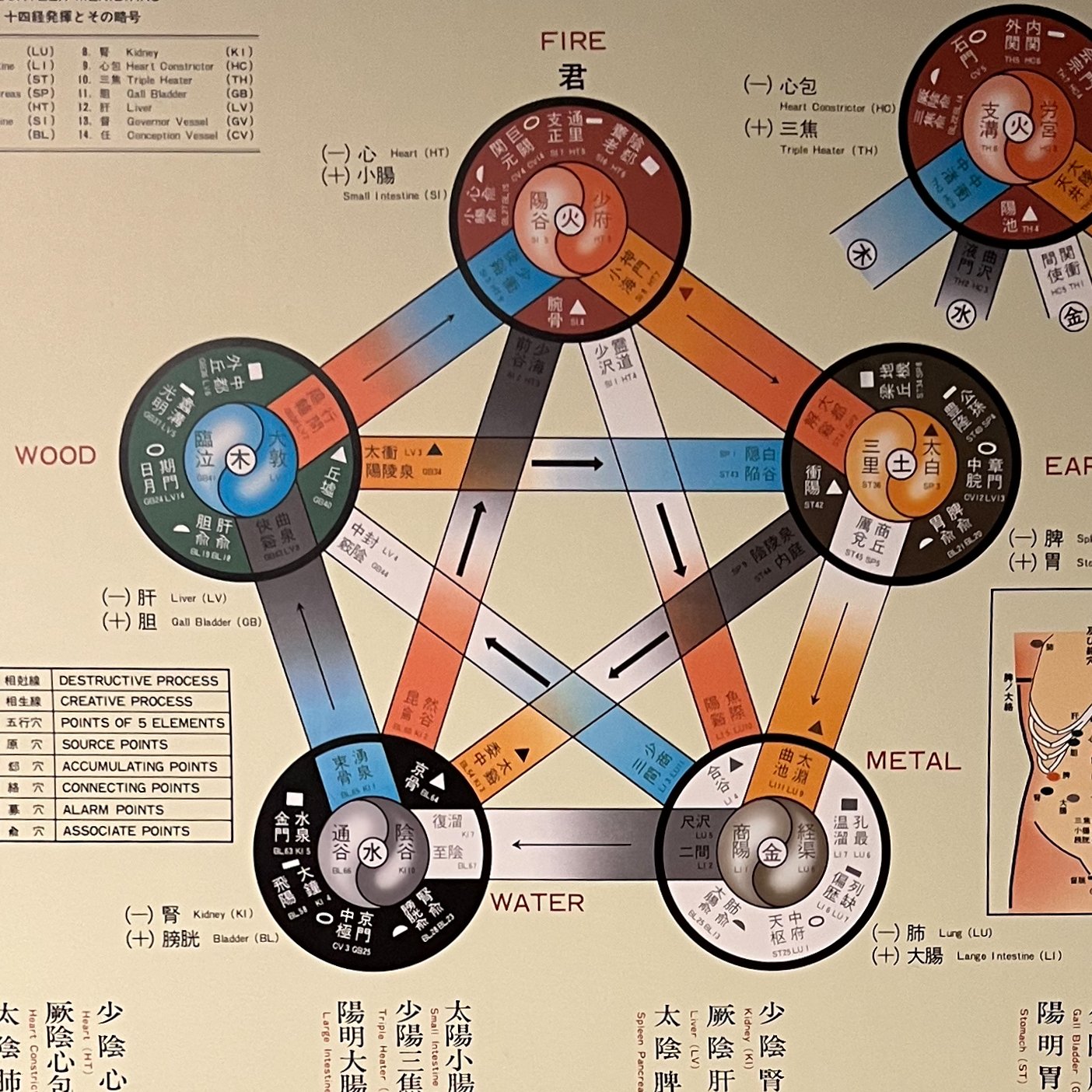 Washington Acupuncture & Traditional Chinese Herbal Medicine