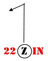 22ZIN
