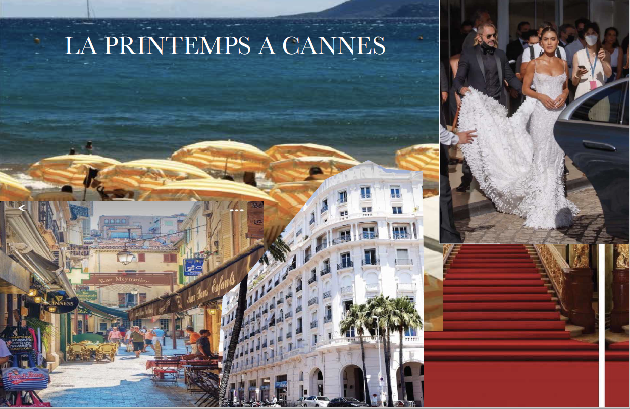 Screen Shot 2022-06-13 at 9.36.24 AM.png